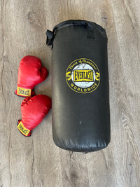 Everlast Small Punching bag