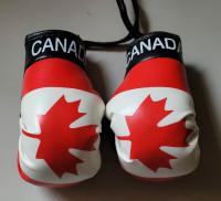 Vintage Canadian Flag Miniature Boxing Gloves for Car or Home