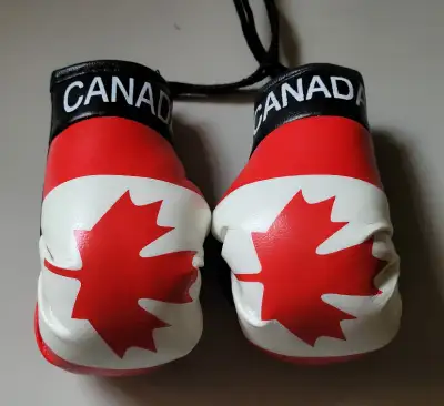 Vintage Canadian Flag Miniature Boxing Gloves for Car or Home, View more