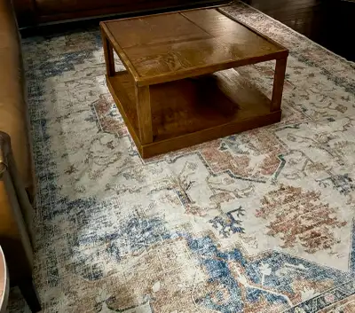  Area Rug: Rustic Distressed Medallion with Earthy & Cream Tones, View more
