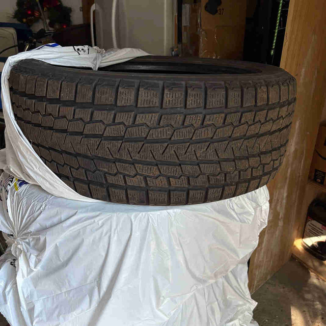 255 50 R20 winter  in Tires & Rims in Ottawa