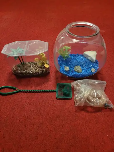 Children's Fish Items Glass Goldfish Bowl , Plastic Beta Tank Fish Net, Stone, Decorations, Some Tub...