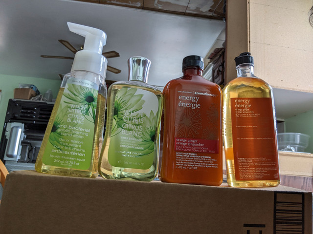 Bath and Body Works foam hand soap, body wash and conditioner in Health & Special Needs in Pembroke