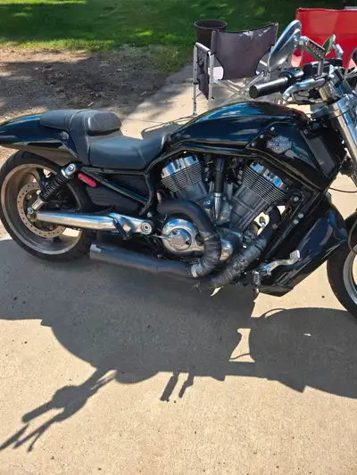 V-ROD MUSCLE. MINT SHAPE, STORED INDOORS. VERY FAST. JUST BROKE IN. 12K OBO