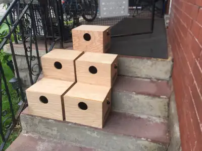 Bird Nest Boxes, View more