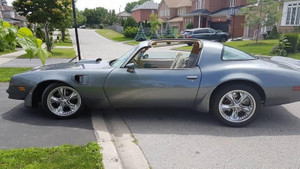 1981 Pontiac Trans Am