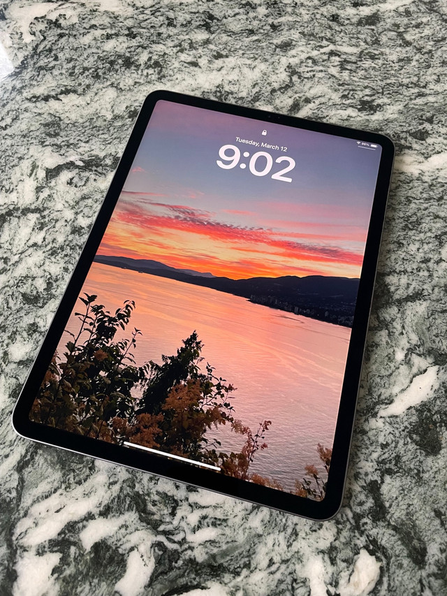iPad Pro 11-inch 64Gb in iPads & Tablets in Vancouver