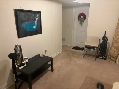 Hi Y'all Beautiful Apartment Great Location Airport and Derry One Bedroom Basement Comes with a Quee...