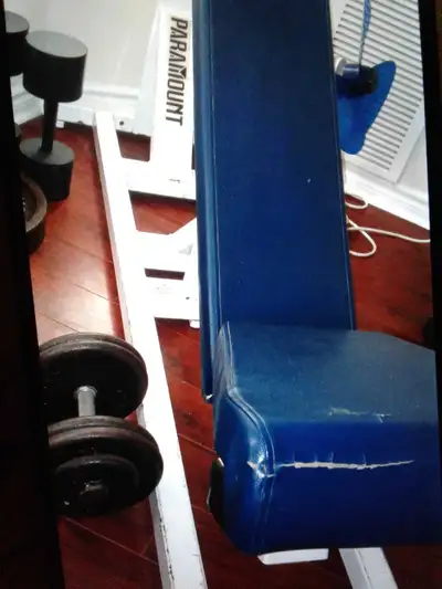 Call or text if serious about pickup 647.425.8678 Scarborough Very heavy and long FID bench. 3 angle...