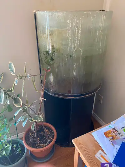 36 Gallon Aquarium with Stand, View more