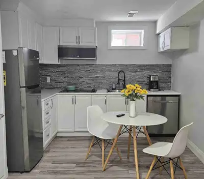1 bd luxury basement apartment