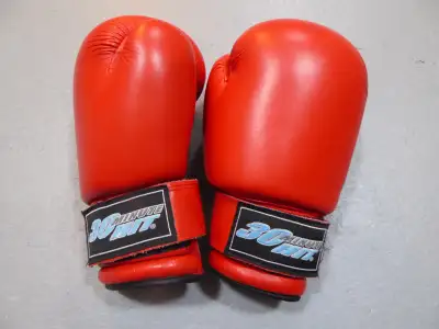 30 Minute Hit 10oz Red Leather Boxing Gloves, View more