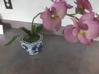 A Chinese Artificial Silk Orchid in a Pot