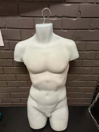 Male Hanging Bust Form White for $10