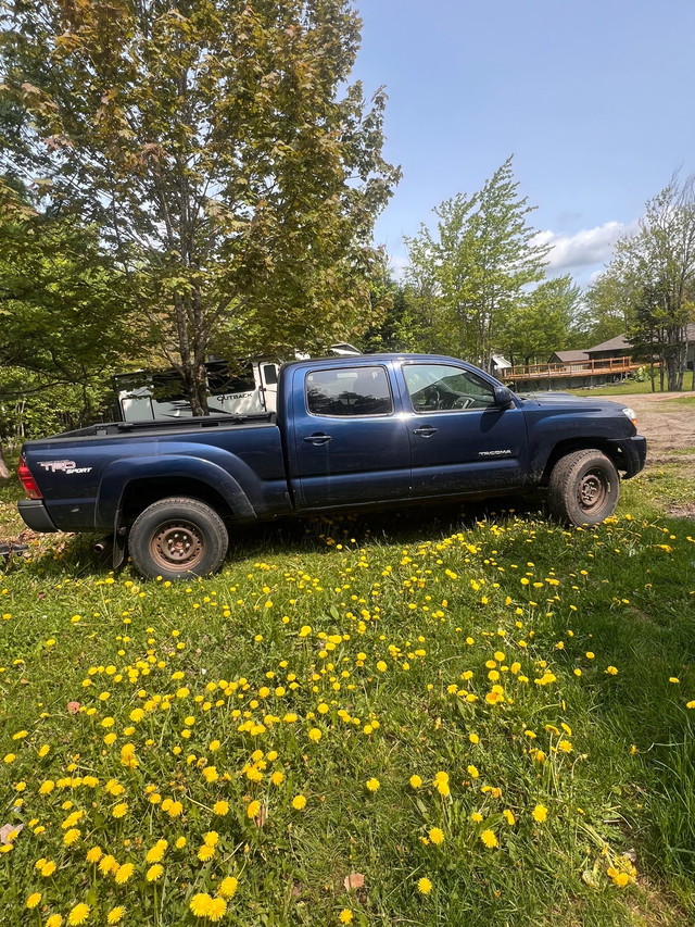 2007 Tacoma in Cars & Trucks in Moncton - Image 2