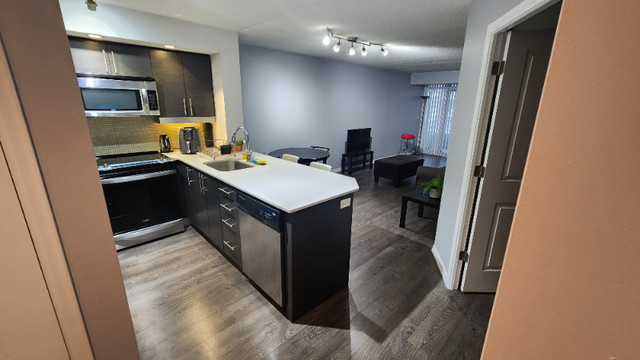 Spacious 75 East Liberty 2 Bdrm./2 Bthrm. apartment for Rent in Long Term Rentals in City of Toronto