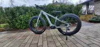 Electric Norco Fat Bike