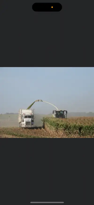 Booking 2025 silage acres New claas harvester 4wd packing tractor 5 trucks 2 swathers Experienced hi...