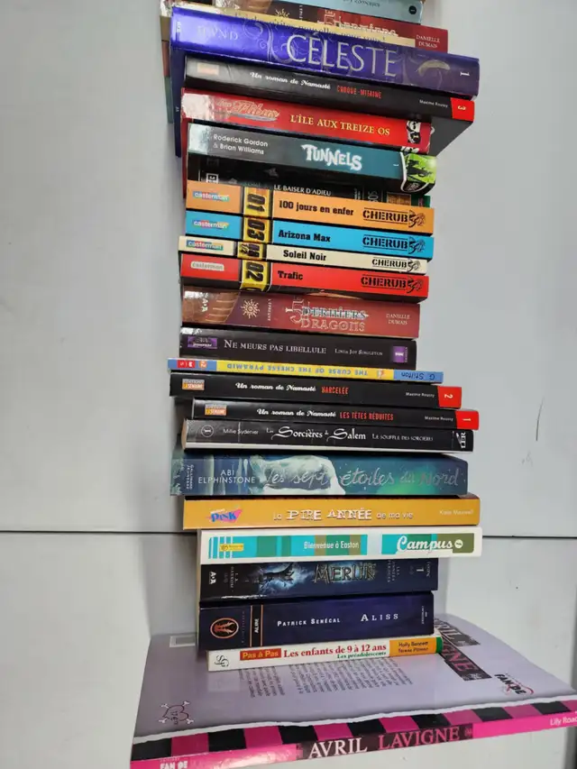 Lot de Livre ADO+Jeunesse in Children & Young Adult in Longueuil / South Shore - Image 3