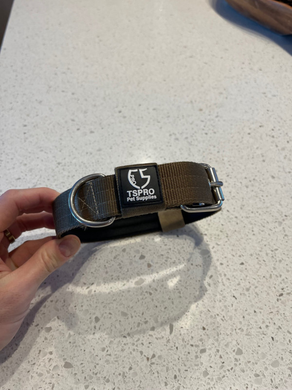 TSPRO Heavy Duty Dog Collar - Like New (1.5 inch wide) Size S in Accessories in Calgary