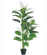 Artificial Spathiphyllum, Peace Lily Plant Modern Decoration 61"
