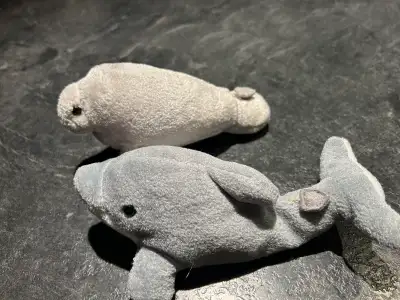 peluche en mammifère marin, View more