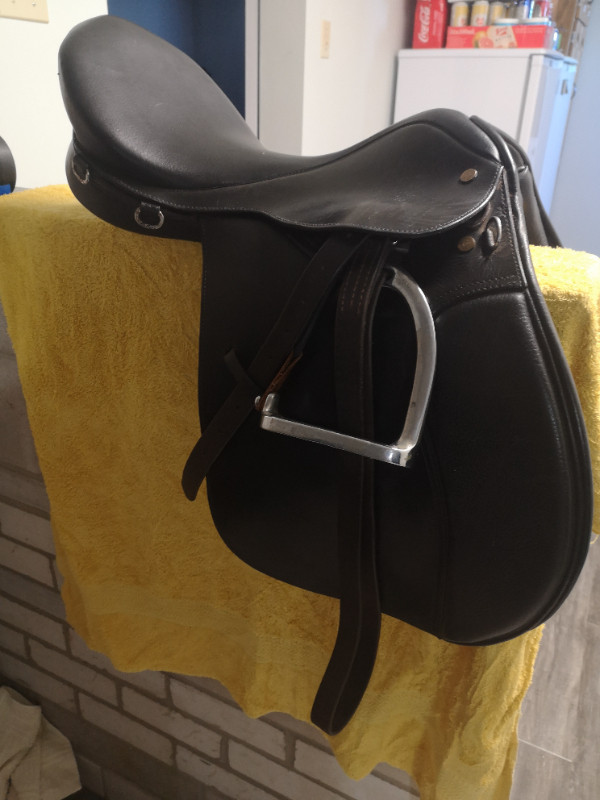 English Saddle - Black - Like NEW in Equestrian & Livestock Accessories in Pembroke