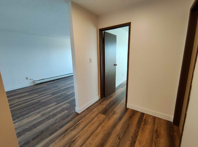 1550/1bd 700 sqft  Downtown Abbotsford  in Long Term Rentals in Abbotsford - Image 2