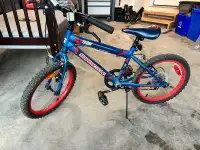 Youth Bicycle 