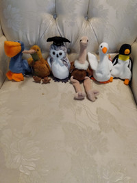 Ty Beanie babies bird group
