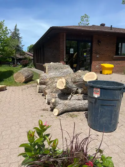 free firewood, View more