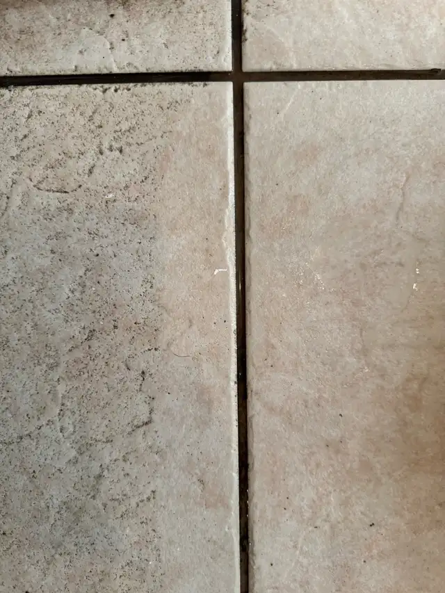 Carpet cleaning ,upholstery cleaning,tile and grout cleaning62863714644610124