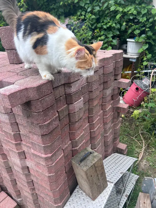 •Cheap BRICKS! Keyhole Pattern Unistones -• ONLY $1 each Brick • in Outdoor Décor in Owen Sound - Image 8