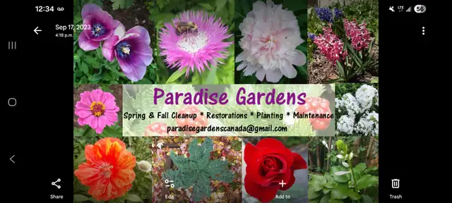 Gardening Services449046069432166400