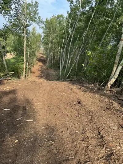 Transform Your Land with Professional Forestry Mulching & Land Management! Looking to clear overgrow...