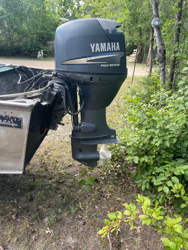 Yamaha 50 -4 stroke with boat and trailer in Powerboats & Motorboats in Winnipeg - Image 6