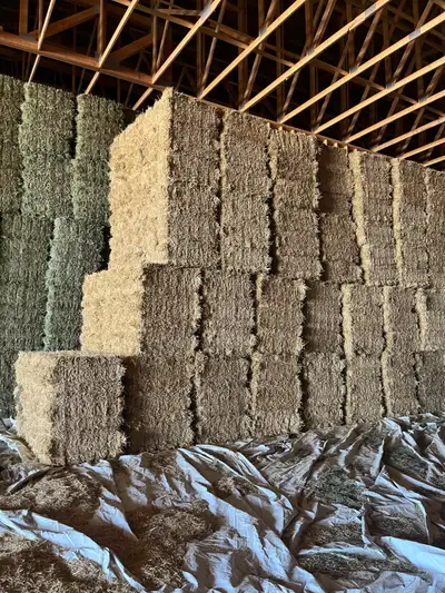 Small square straw bales for sale Have approx 1700 small bales bundled. 21 bales in a bundle for $11...