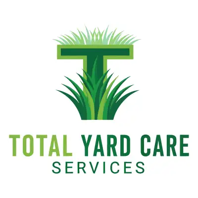 professional spring cleanups , View more