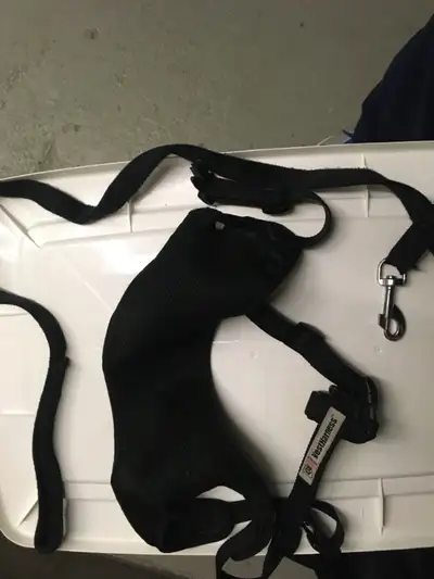 Harnais pour gros chien et grande laisse