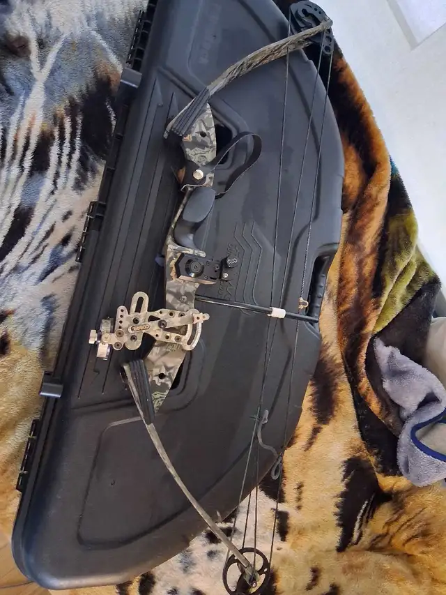 Compound Bow64849904348034120