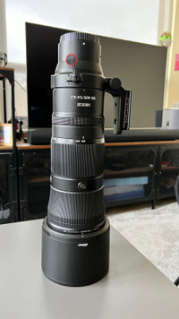 Nikkor Z 180-600mm f/5.6-6.3 VR Lens