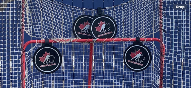 Hockey net  in Hockey in Calgary - Image 2