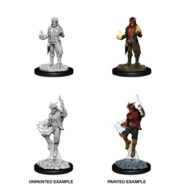 D&D Nolzur's Marvelous Miniatures: Wave 12: Male Tiefling Sorcer in Toys & Games in Hamilton