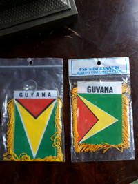 Guyana  Mini Banner