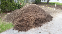 Grande quantite de compost d’erable a donner comme /Large Quanty