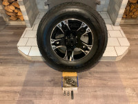 Roues et pneus d`hiver à cloues pour camion
