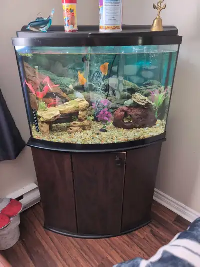 36 gallon bow front for sale , View more
