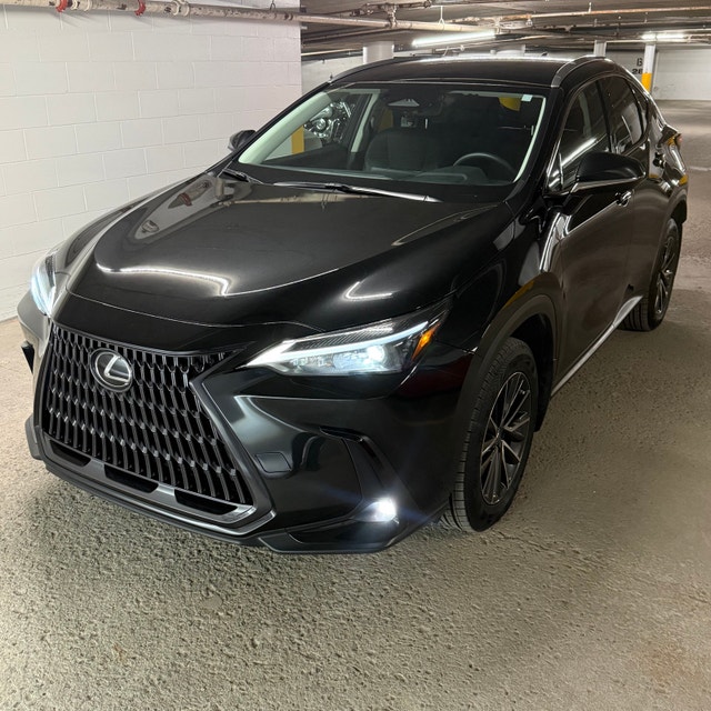 Brilliant Lexus 2023 NX 250 AWD — photo 2
