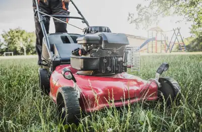 grass cutting/lawn mowing , View more