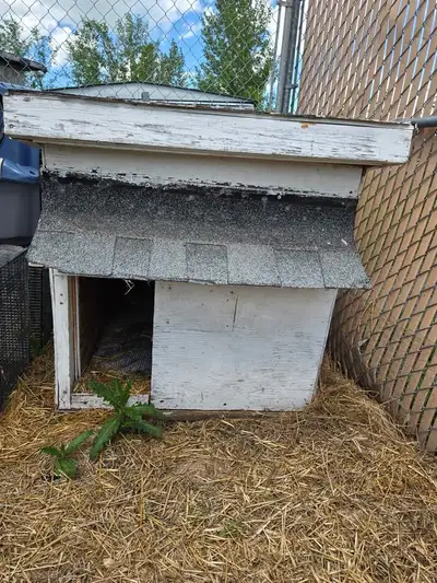 Insulated large wooden dog house, View more